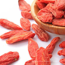 China Organic Premium Quality Dried Natural Red Goji Wolfberry Goji Berries